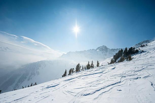 Hotel Les Alpes Allevard Bagian luar foto